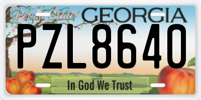 GA license plate PZL8640