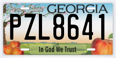 GA license plate PZL8641