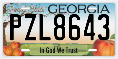 GA license plate PZL8643