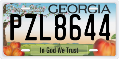 GA license plate PZL8644