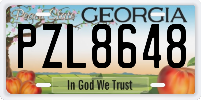 GA license plate PZL8648