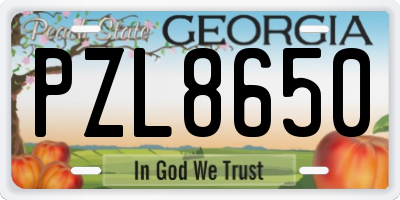 GA license plate PZL8650