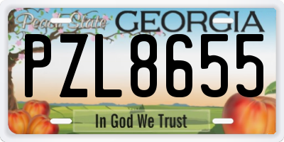 GA license plate PZL8655