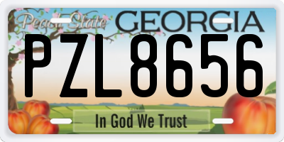 GA license plate PZL8656