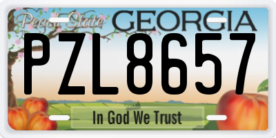 GA license plate PZL8657