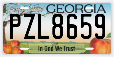 GA license plate PZL8659