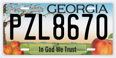 GA license plate PZL8670