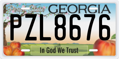 GA license plate PZL8676