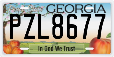GA license plate PZL8677
