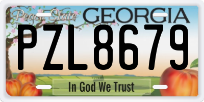 GA license plate PZL8679