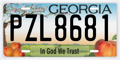 GA license plate PZL8681