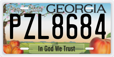 GA license plate PZL8684