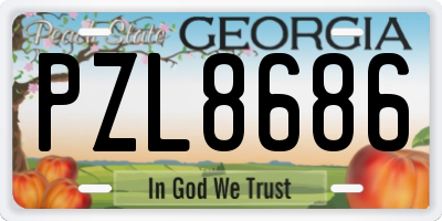 GA license plate PZL8686