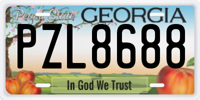 GA license plate PZL8688