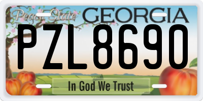 GA license plate PZL8690