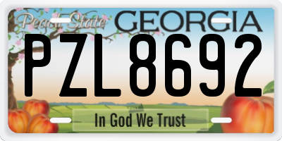 GA license plate PZL8692