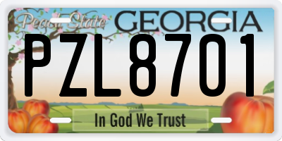 GA license plate PZL8701