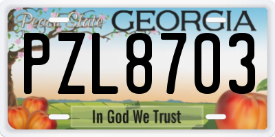 GA license plate PZL8703