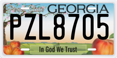 GA license plate PZL8705