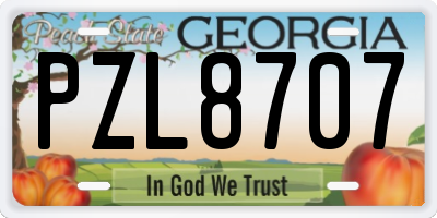GA license plate PZL8707