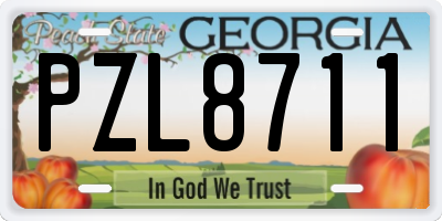 GA license plate PZL8711