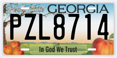 GA license plate PZL8714
