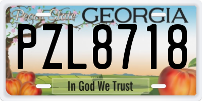 GA license plate PZL8718