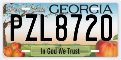 GA license plate PZL8720