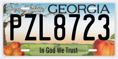 GA license plate PZL8723