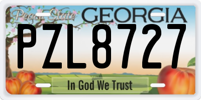 GA license plate PZL8727