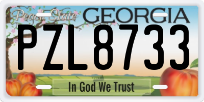 GA license plate PZL8733