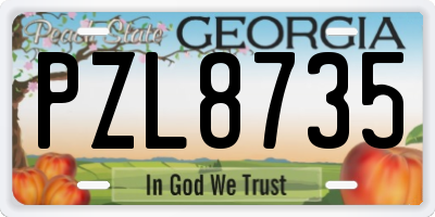 GA license plate PZL8735