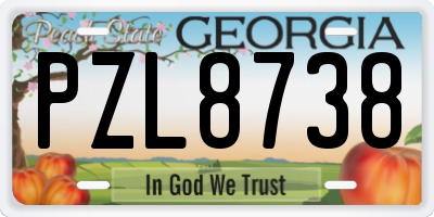 GA license plate PZL8738