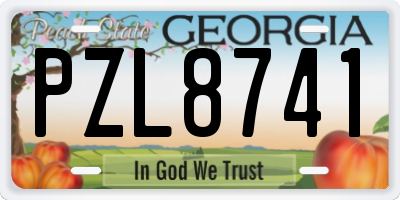 GA license plate PZL8741