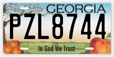 GA license plate PZL8744