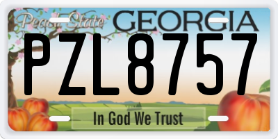GA license plate PZL8757