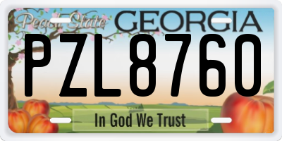 GA license plate PZL8760