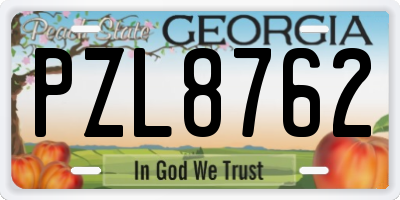 GA license plate PZL8762