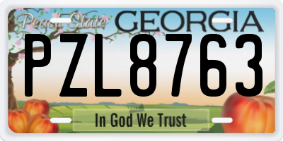 GA license plate PZL8763