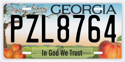 GA license plate PZL8764