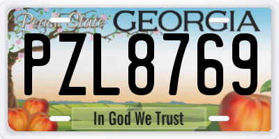 GA license plate PZL8769