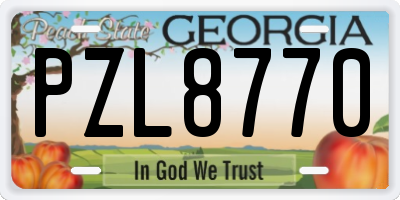 GA license plate PZL8770