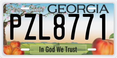 GA license plate PZL8771