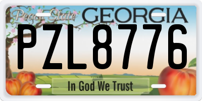 GA license plate PZL8776