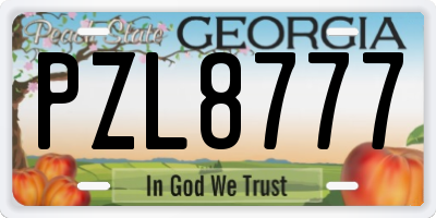 GA license plate PZL8777