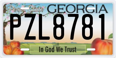 GA license plate PZL8781