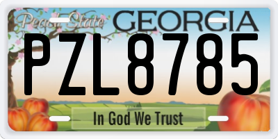 GA license plate PZL8785