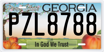 GA license plate PZL8788