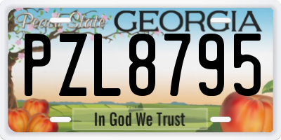 GA license plate PZL8795
