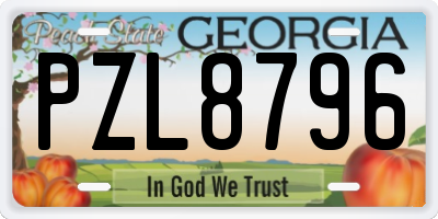 GA license plate PZL8796